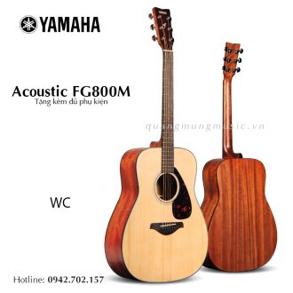 dan-guitar-acoustic-yamaha-fg800m