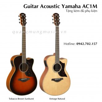 dan-guitar-acoustic-yamaha-ac1m