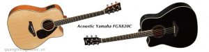 dan-guitar-acoustic-yamaha-fgx820c