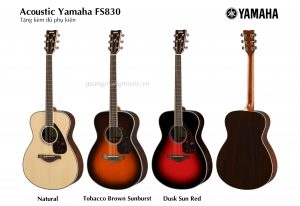 dan-guitar-acoustic-yamaha-fs830 dan-guitar-acoustic-yamaha-fs830