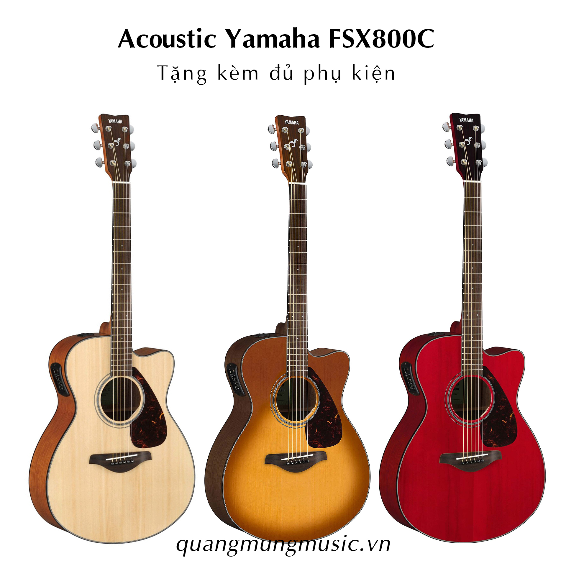 dan-guitar-acoustic-yamaha-fsx800c