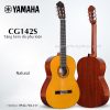 dan-guitar-classic-yamaha-cg142s