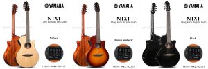 dan-guitar-classic-yamaha-ntx1