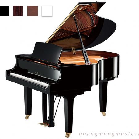 dan-piano-grand-yamaha-c3x-pe