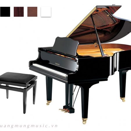 dan-piano-grand-yamaha-c5x-pe