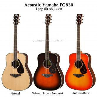 dan-guitar-acoustic-yamaha-fg830