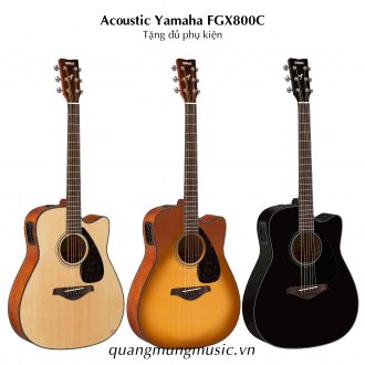 dan-guitar-acoustic-yamaha-fgx800c