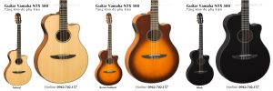 dan-guitar-classic-yamaha-ntx-500