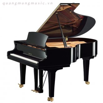 dan-piano-grand-yamaha-s5x-pe
