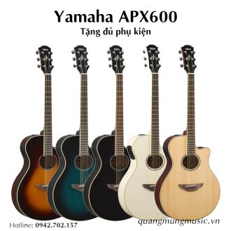 dan-guitar-acoustic-yamaha-apx600