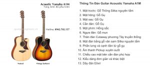 dan-guitar-acoustic-yamaha-a1m