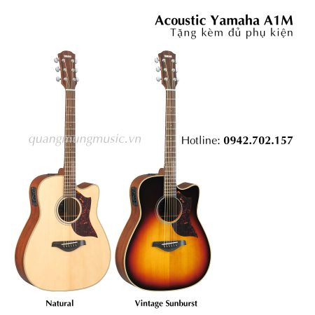 dan-guitar-acoustic-yamaha-a1m