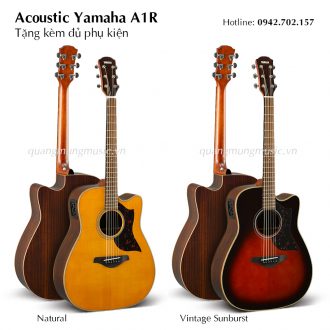 dan-guitar-acoustic-yamaha-a1r