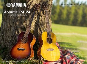 dan-guitar-acoustic-yamaha-csf3m