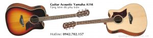 dan-guitar-acoustic-yamaha-a1m