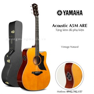 dan-guitar-acoustic-yamaha-a5m-are