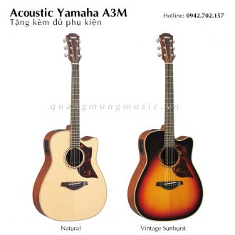 dan-guitar-acoustic-yamaha-a3m