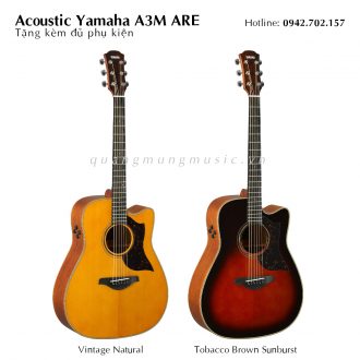 dan-guitar-acoustic-yamaha-a3m-are