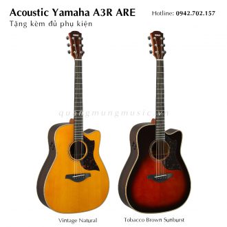 dan-guitar-acoustic-yamaha-a3r-are
