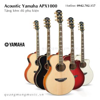 dan-guitar-acoustic-yamaha-apx1000