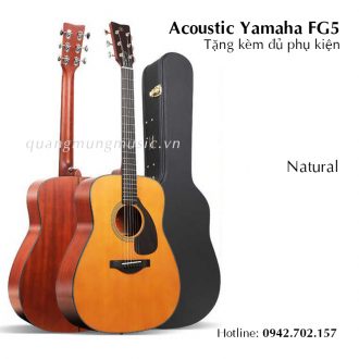 dan-guitar-acoustic-yamaha-fg5