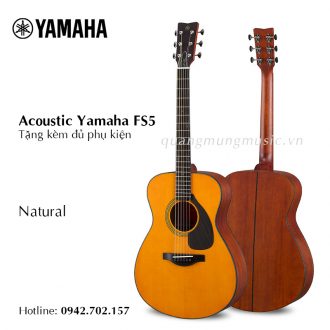 dan-guitar-acoustic-yamaha-fs5