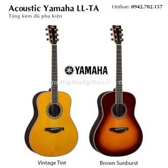 dan-guitar-acoustic-yamaha-ll-ta