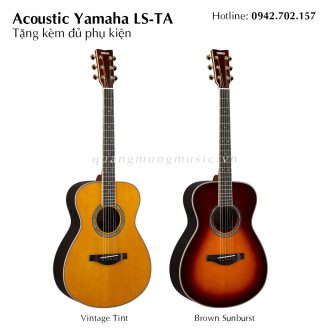dan-guitar-acoustic-yamaha-ls-ta