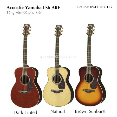 dan-guitar-acoustic-yamaha-ls6-are