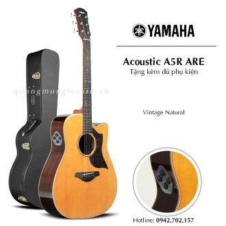 dan-guitar-acoustic-yamaha-a5r-are