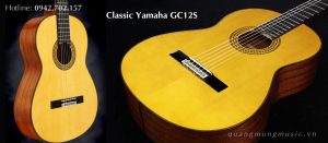 dan-guitar-classic-yamaha-gc12s