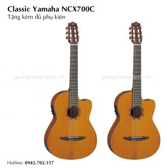 dan-guitar-classic-yamaha-ncx700c