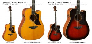 dan-guitar-acoustic-yamaha-a3m-are