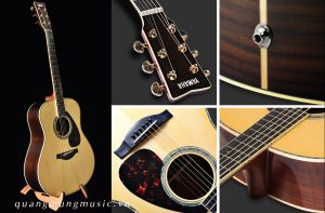 dan-guitar-acoustic-yamaha-ls6-are