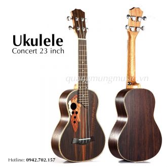 ukulele-23-inch-ukulele-concert