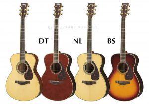 dan-guitar-acoustic-yamaha-ls6-are