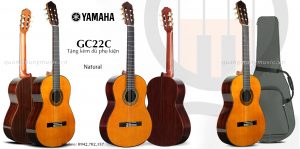 dan-guitar-classic-yamaha-gc22c
