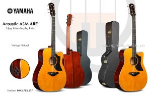 dan-guitar-acoustic-yamaha-a5m-are