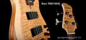 dan-guitar-bass-yamaha-trb1004j