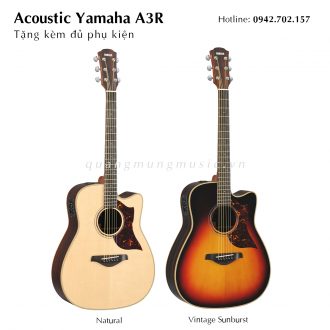 dan-guitar-acoustic-yamaha-a3r
