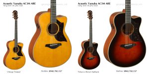 dan-guitar-acoustic-yamaha-ac3m-are