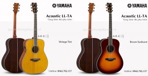 dan-guitar-acoustic-yamaha-ll-ta