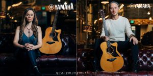 dan-guitar-acoustic-yamaha-a3r-are
