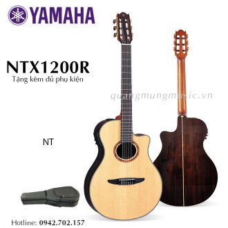 dan-guitar-classic-yamaha-ntx1200r