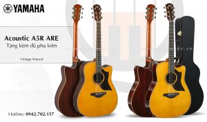 dan-guitar-acoustic-yamaha-a5r-are