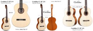 dan-guitar-classic-cordoba-c5sp-3-4