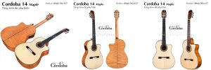 dan-guitar-classic-cordoba-14-maple