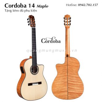 dan-guitar-classic-cordoba-14-maple
