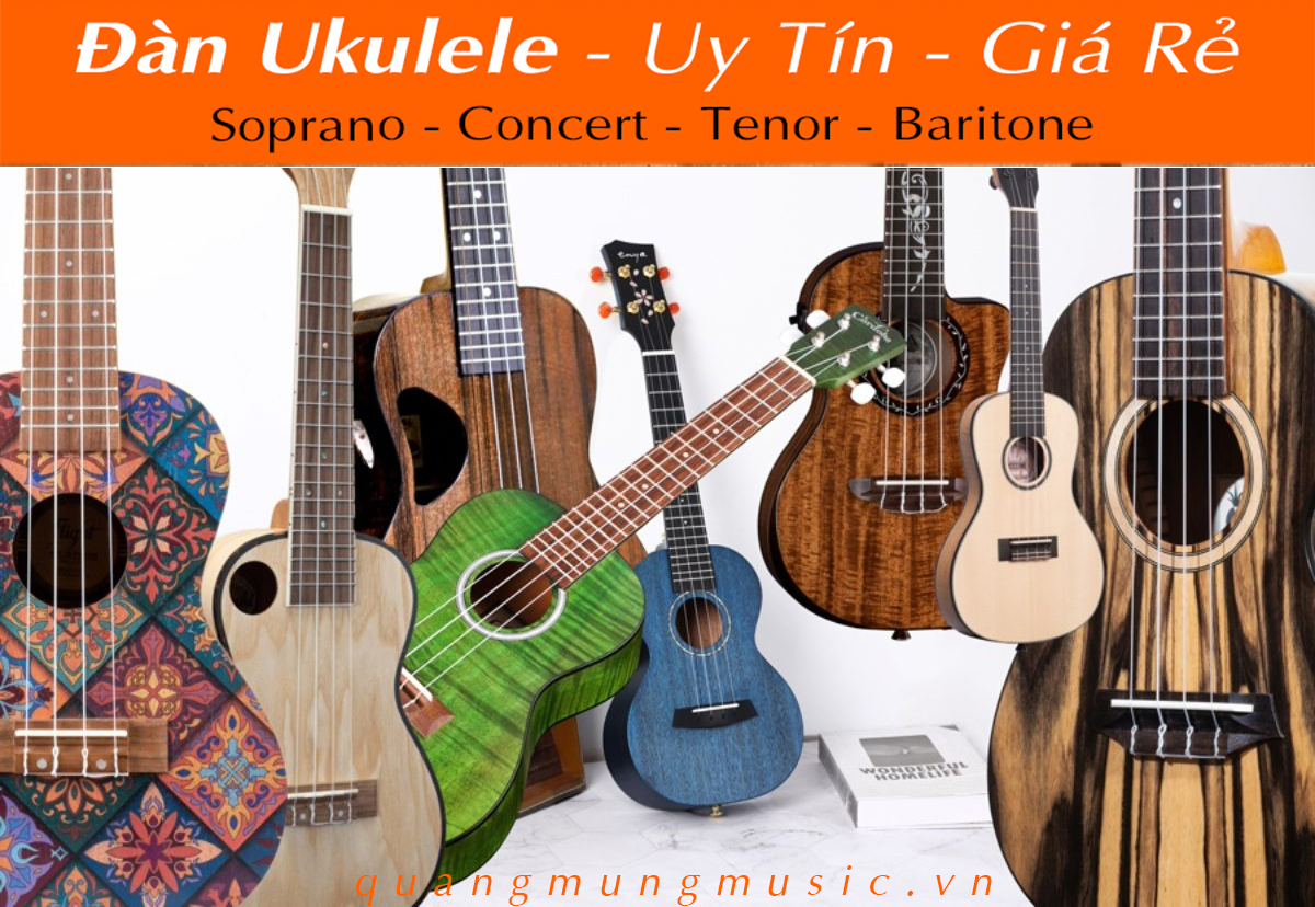 dan-ukulele-uy-tin-gia-re