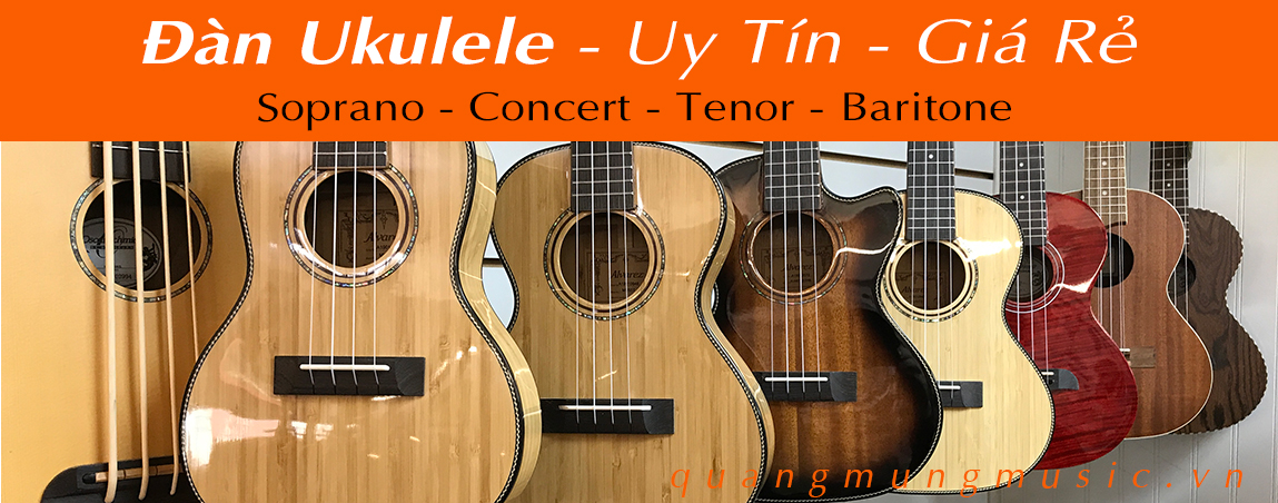 dan-ukulele-chinh-hang-uy-tin-gia-re-o-ha-noi